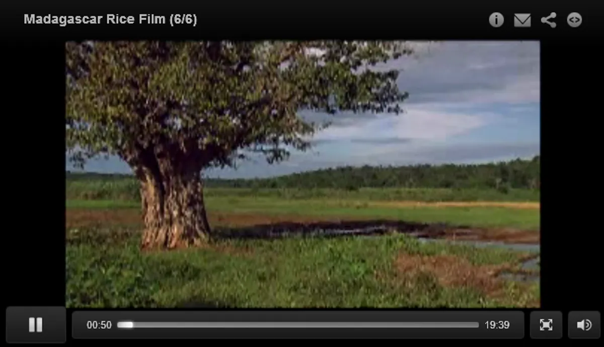 Madagascar rice film (6/6) - AKDN