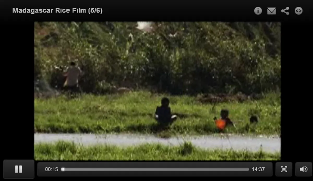 Madagascar rice film (5/6) - AKDN