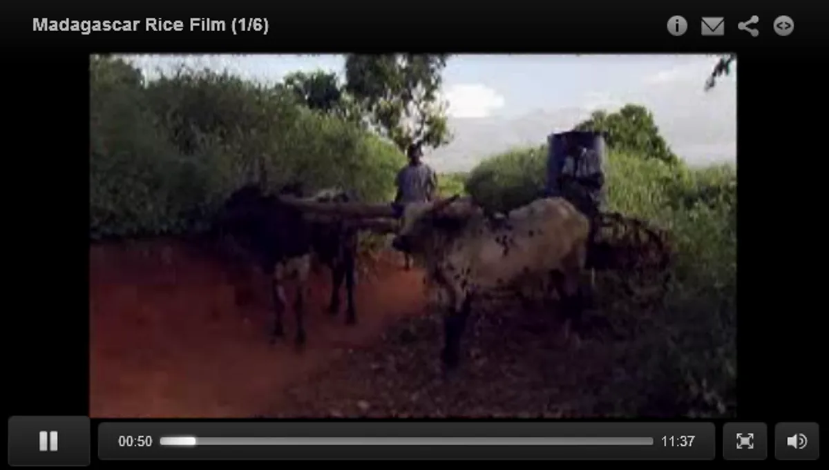 Madagascar rice film (1/6) - AKDN