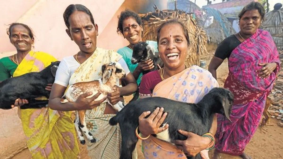 Meet the ’pashu sakhis’ of rural Bihar - AKDN