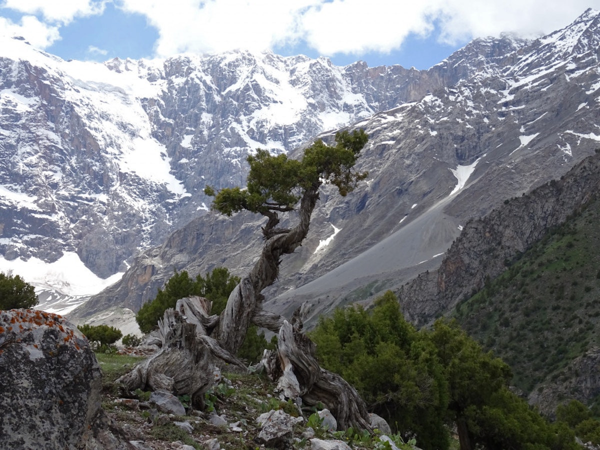 The Şişecam Project in Touch with Nature Surrounded by Juniper Trees:  Folkart Ardıç Residence