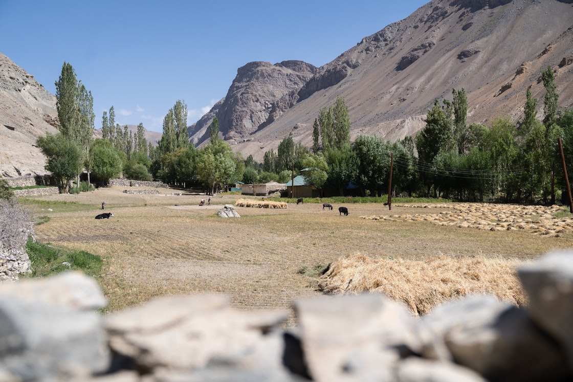 MSRI's primary concern is the wellbeing of people and communities residing in mountain areas, and the major factors and drivers affecting their livelihoods, economies and environments. AKDN / Christopher Wilton-Steer
