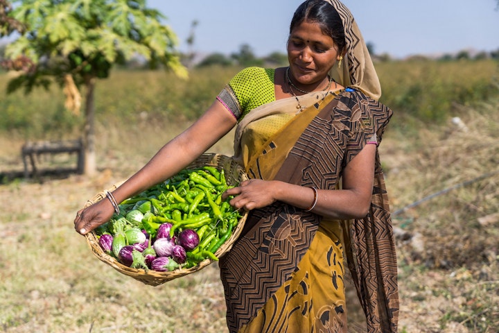 akf-india-4-26-vegetables_grown_alongside_the_organic_cotton.jpg