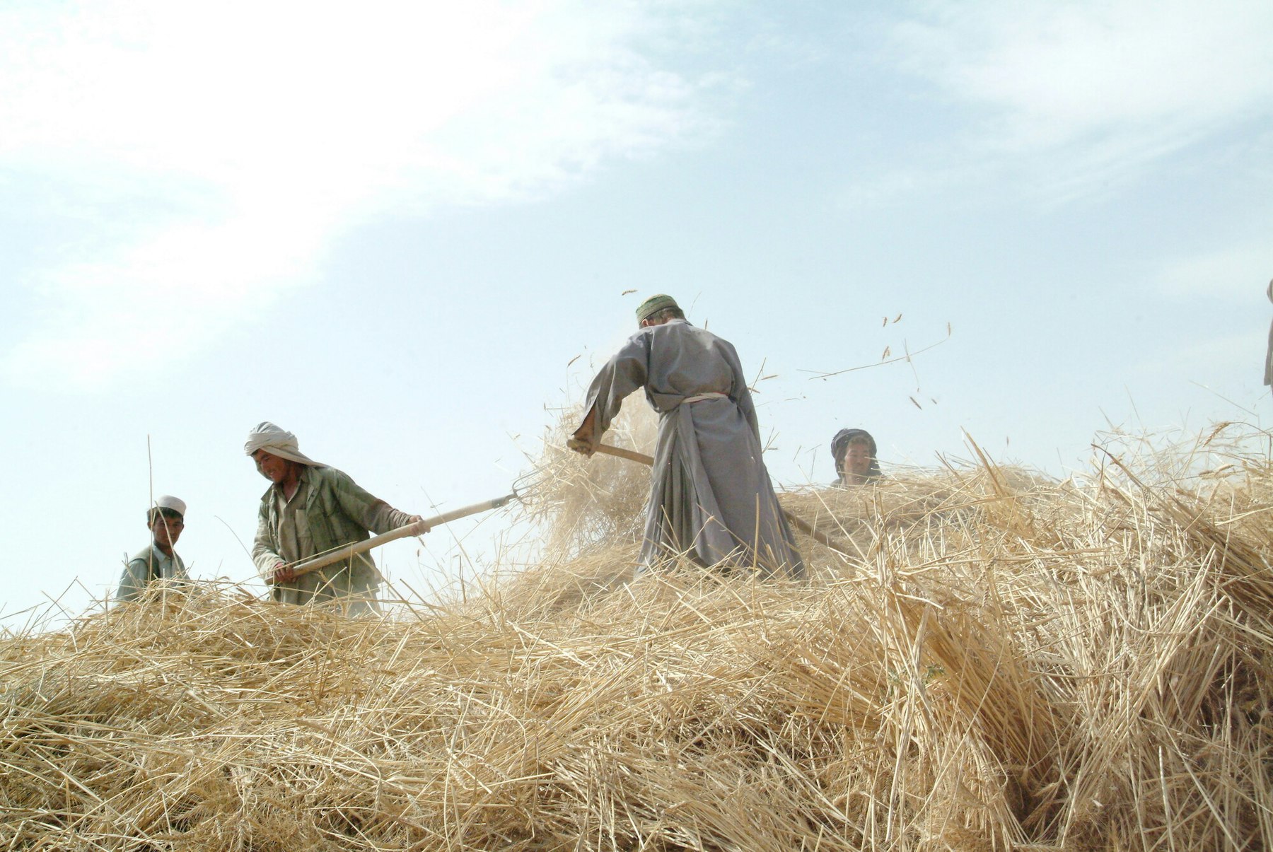 Farming. Afghanistan
