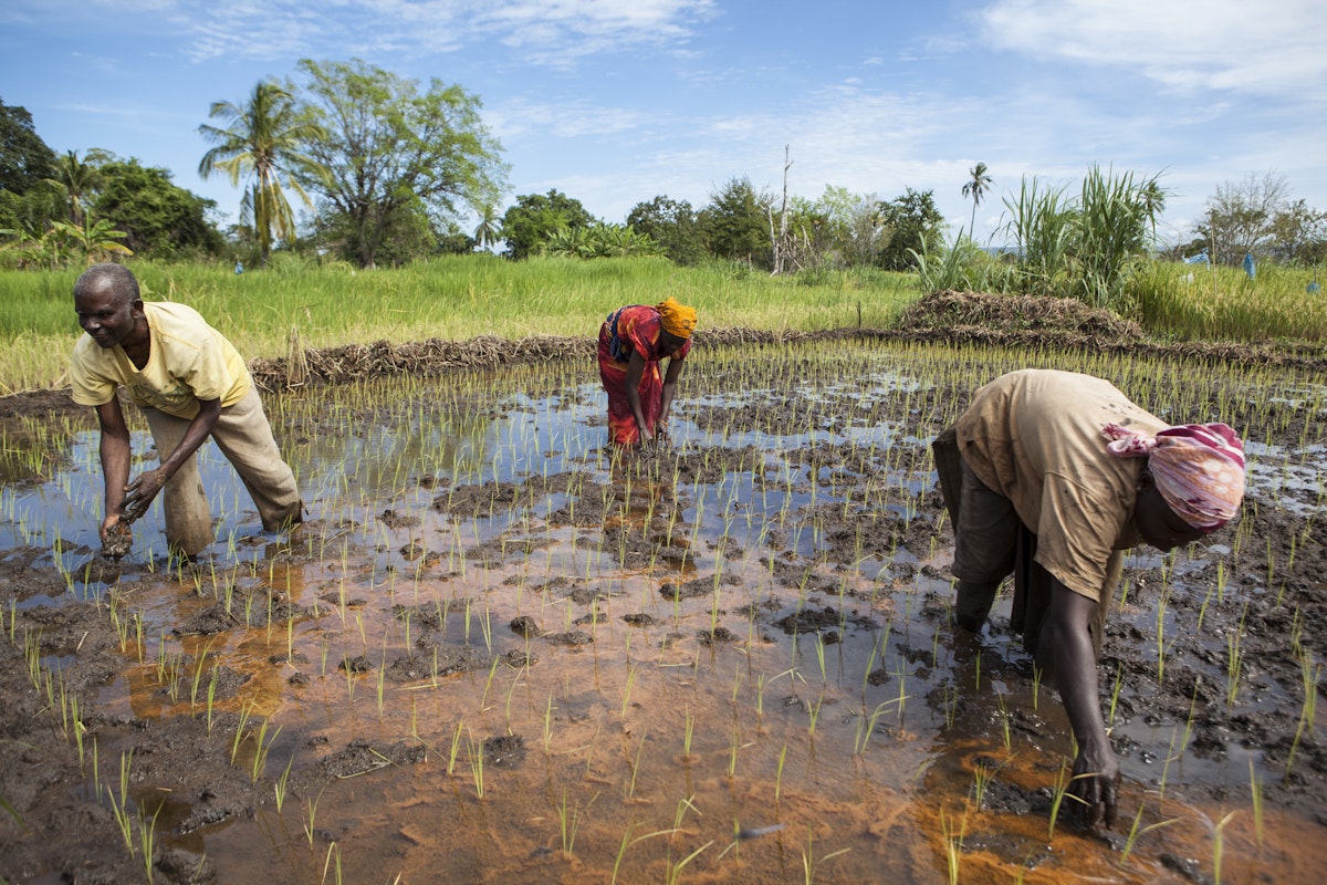 What We Do: Environment And Climate Change - Akdn