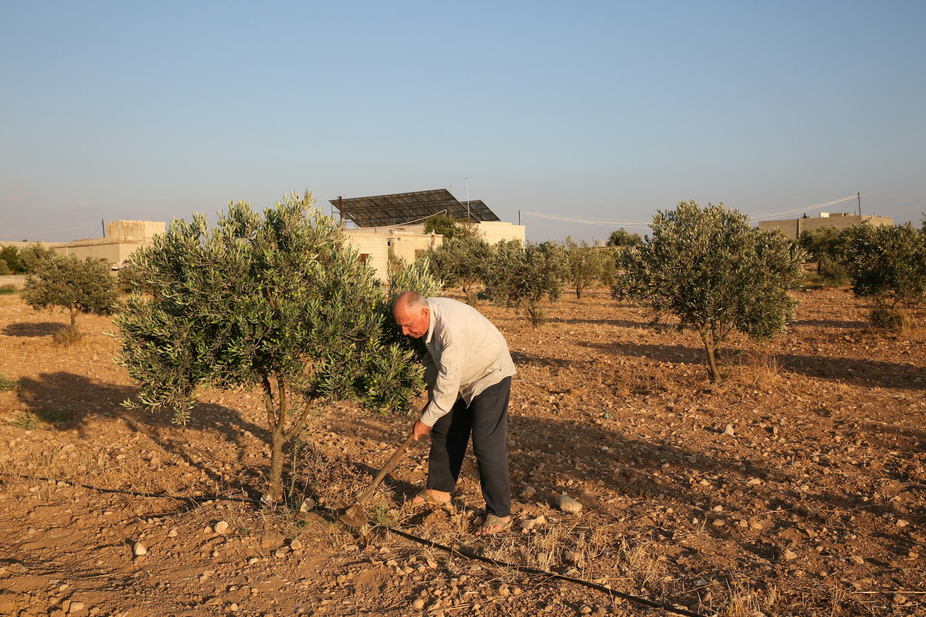 Smallholder Women Farmers See Improved Financial Independence with