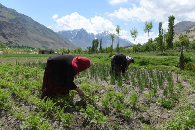 Women working together on a farm